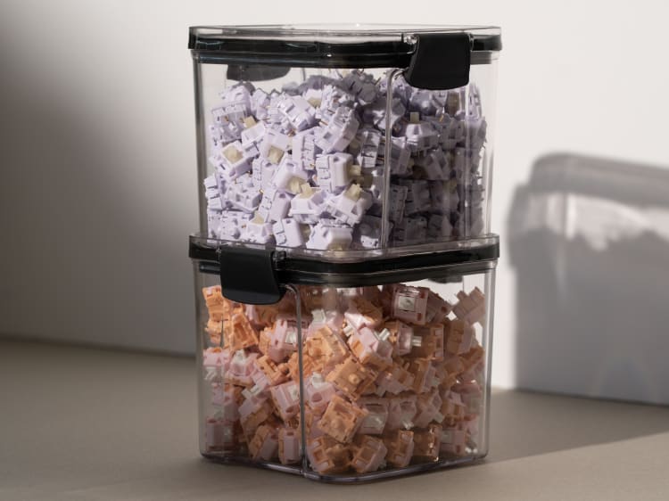 Switch storage box 2025