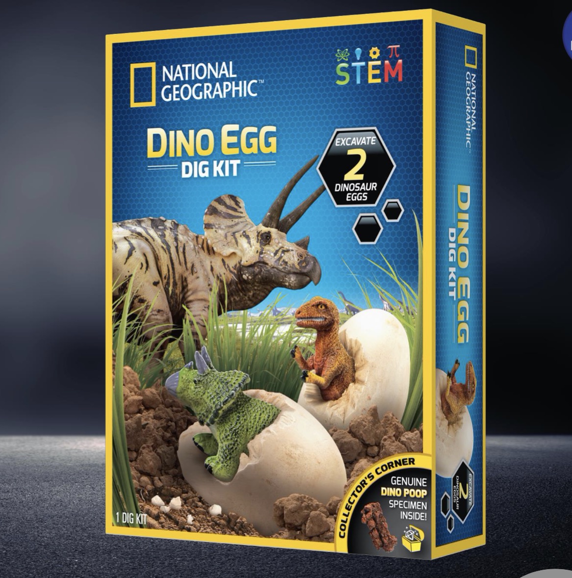 National Geographic - Carded Mini Dig Kits Assorted - Pixie Toy Store