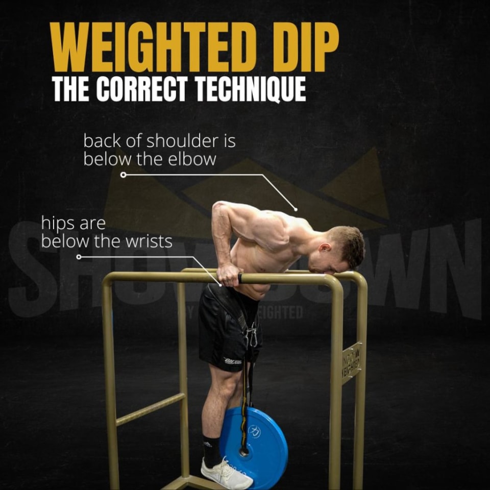 WEIGHTED DIPS - THE CORRECT TECHNIQUE – King Of Weighted Shop
