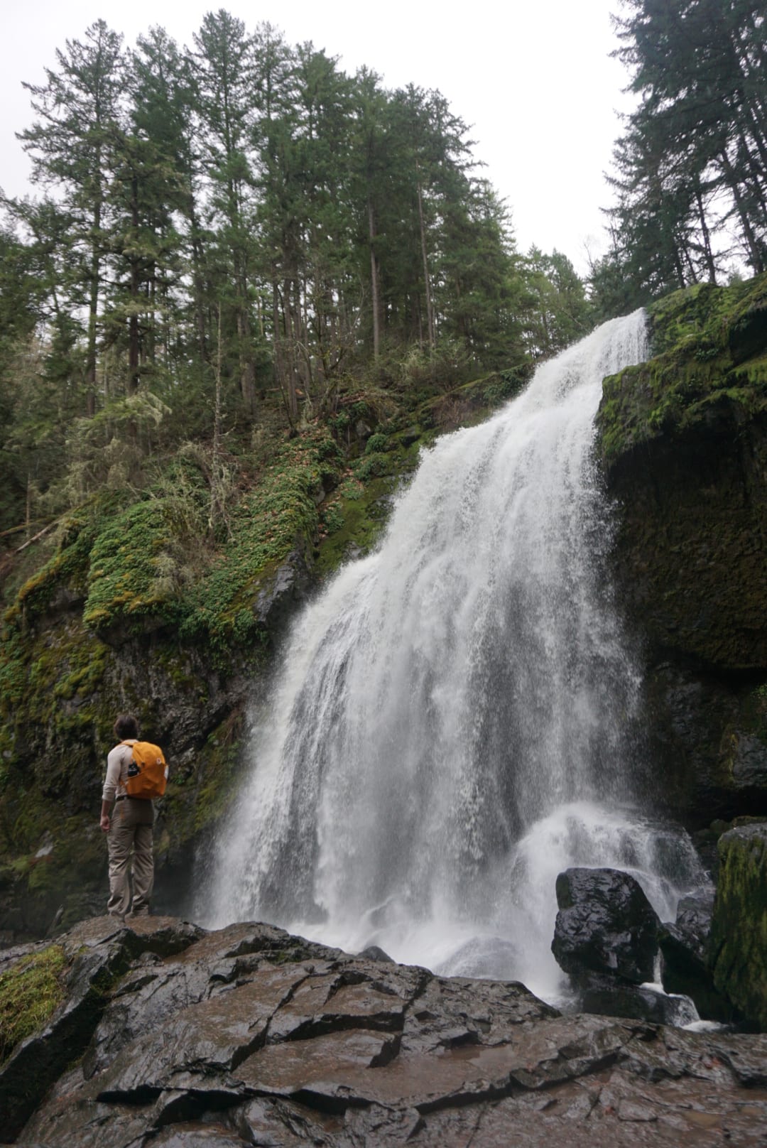 Hiking in the Pacific Northwest