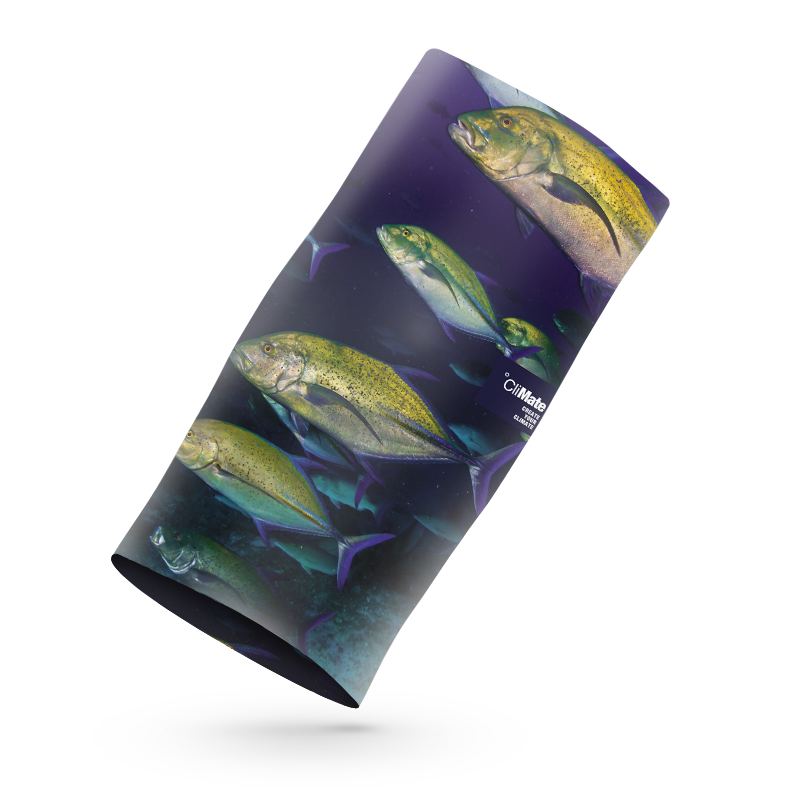 Climate Sport Scarf (Mask / Buff / Face Shield) - Kingfish