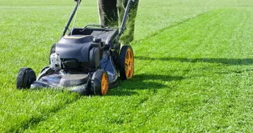 lawn-mowing-service