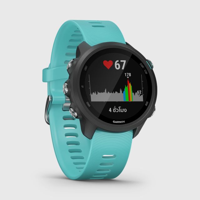 garmin forerunner 245 alarm