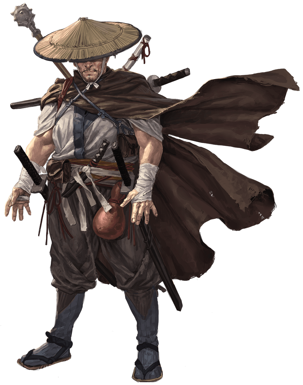rise of the kage ronin