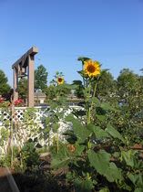 Rosebud Preschool