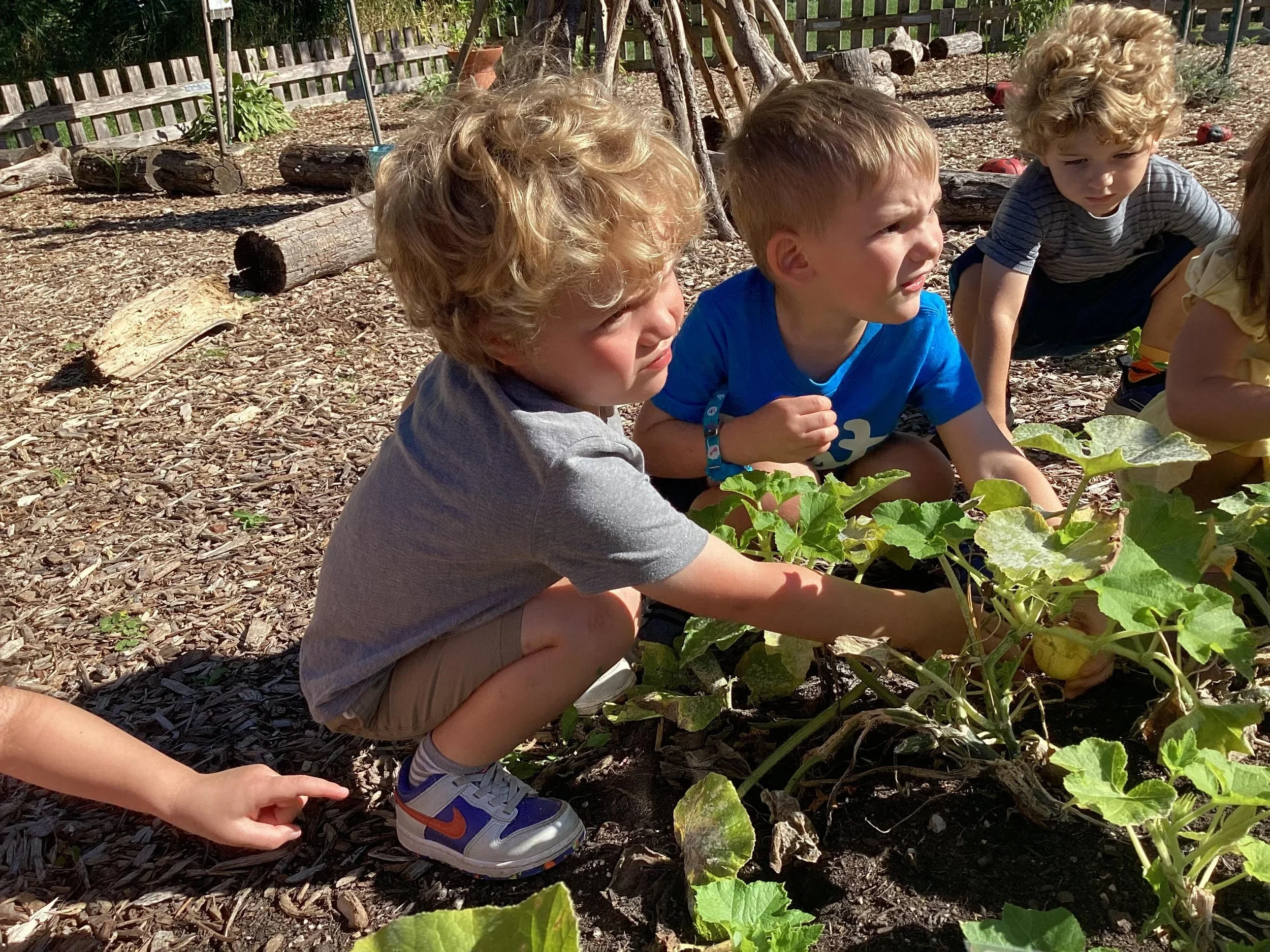 PETER PAN EARLY LEARNING CENTER