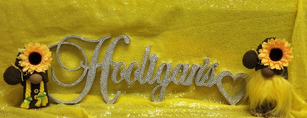 Hooligan's Learning Academy