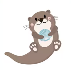 Little Otters Academy