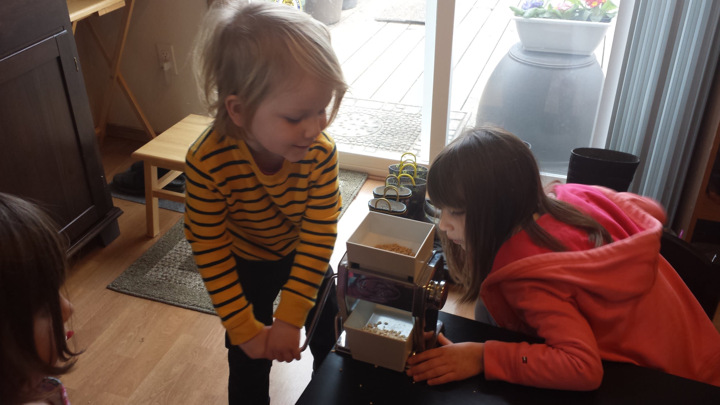 Crumrine Lori (Blue Spruce Montessori Children)
