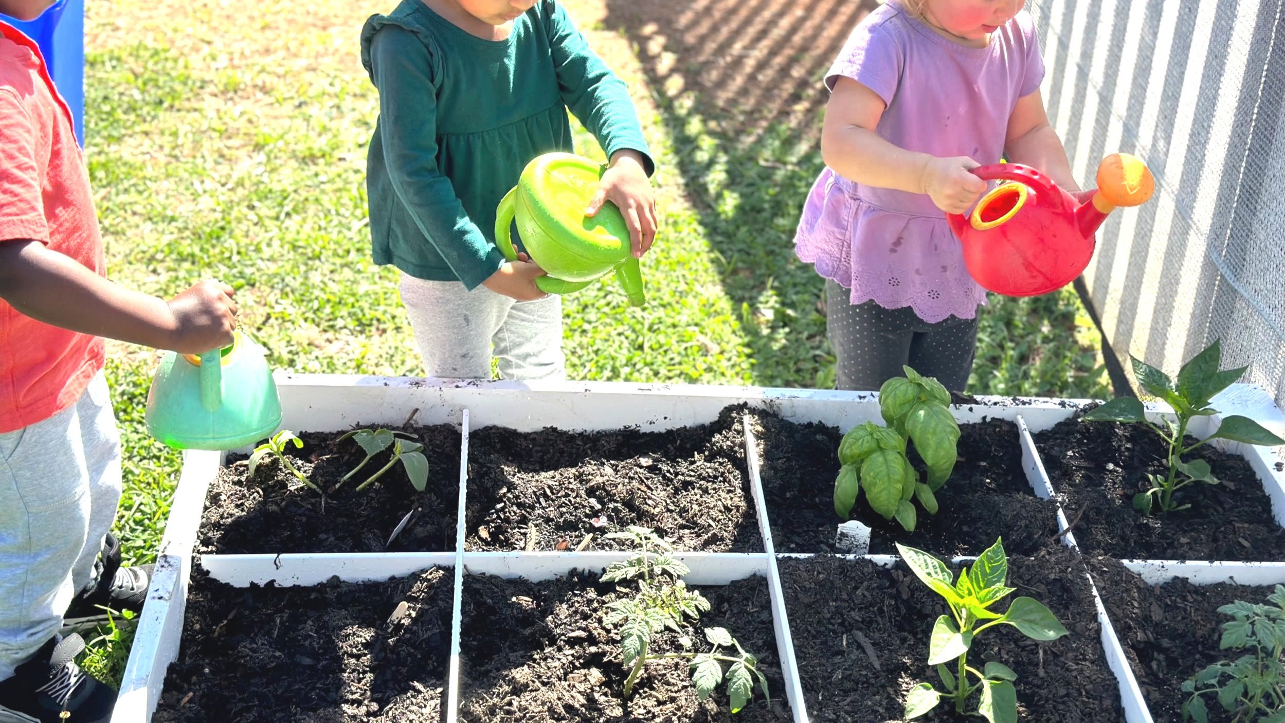 Montessori In Town
