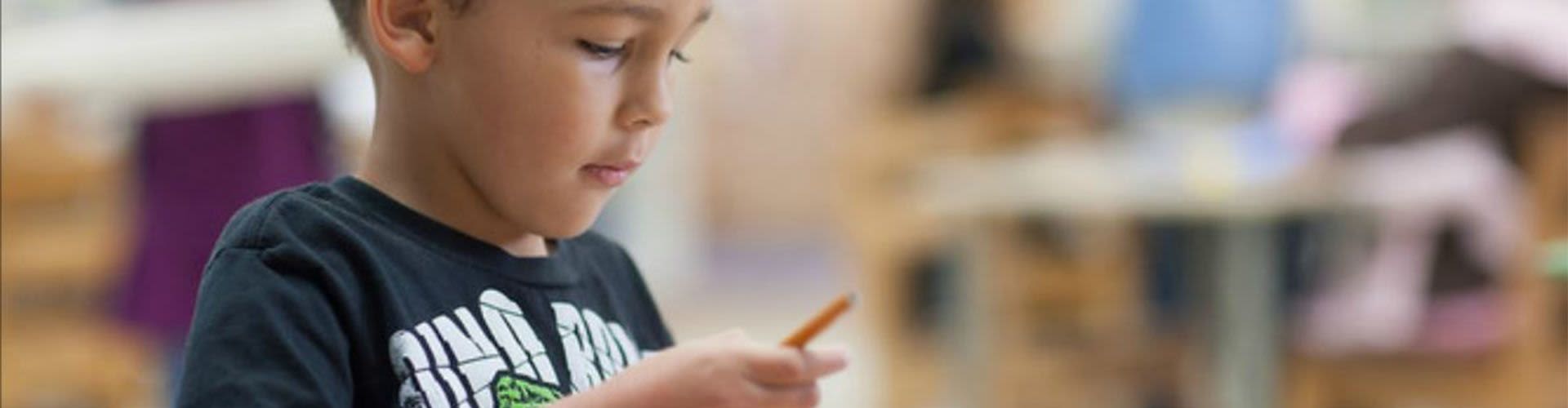 Ventura Montessori School, Inc