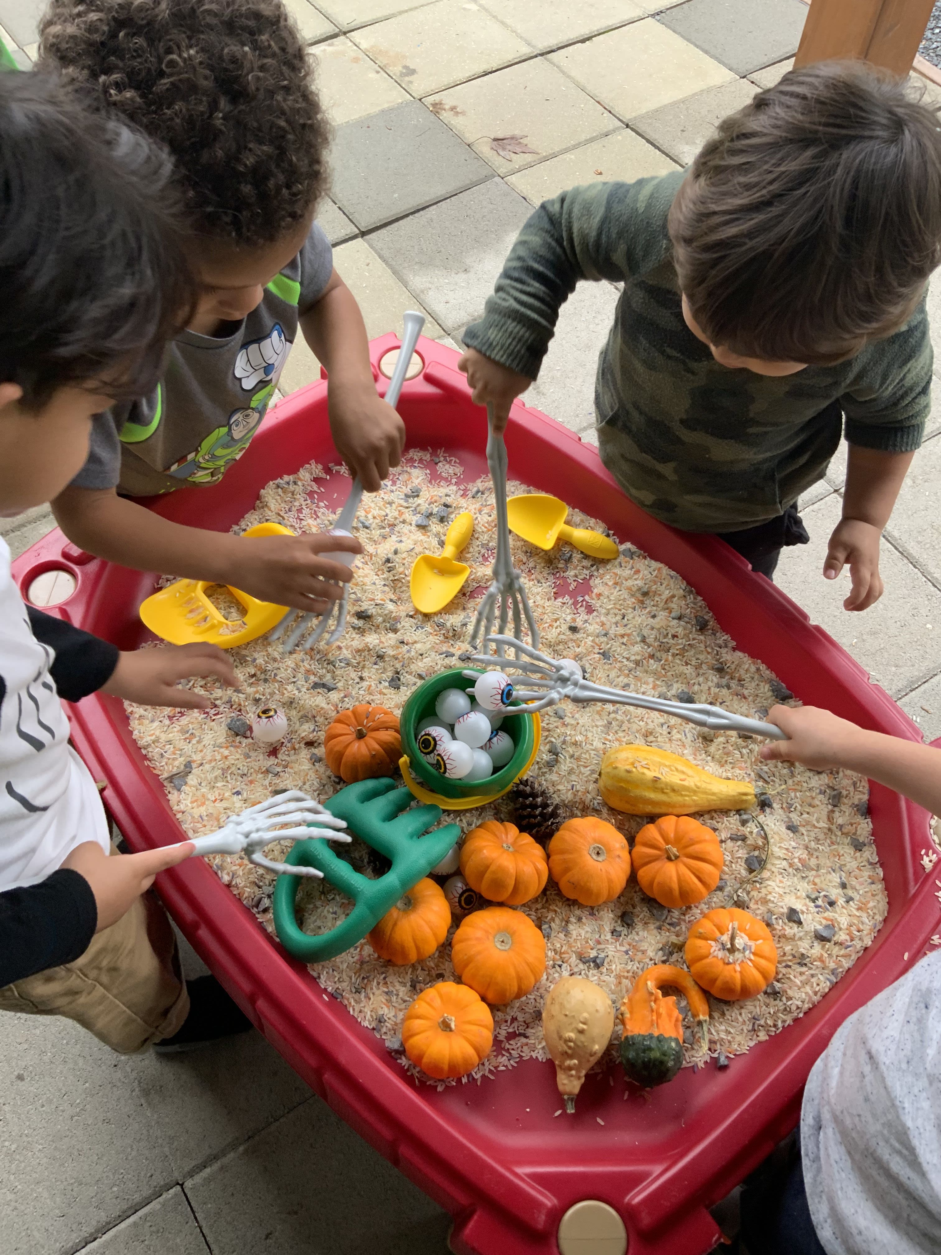 Spring Bunnies Home Childcare 