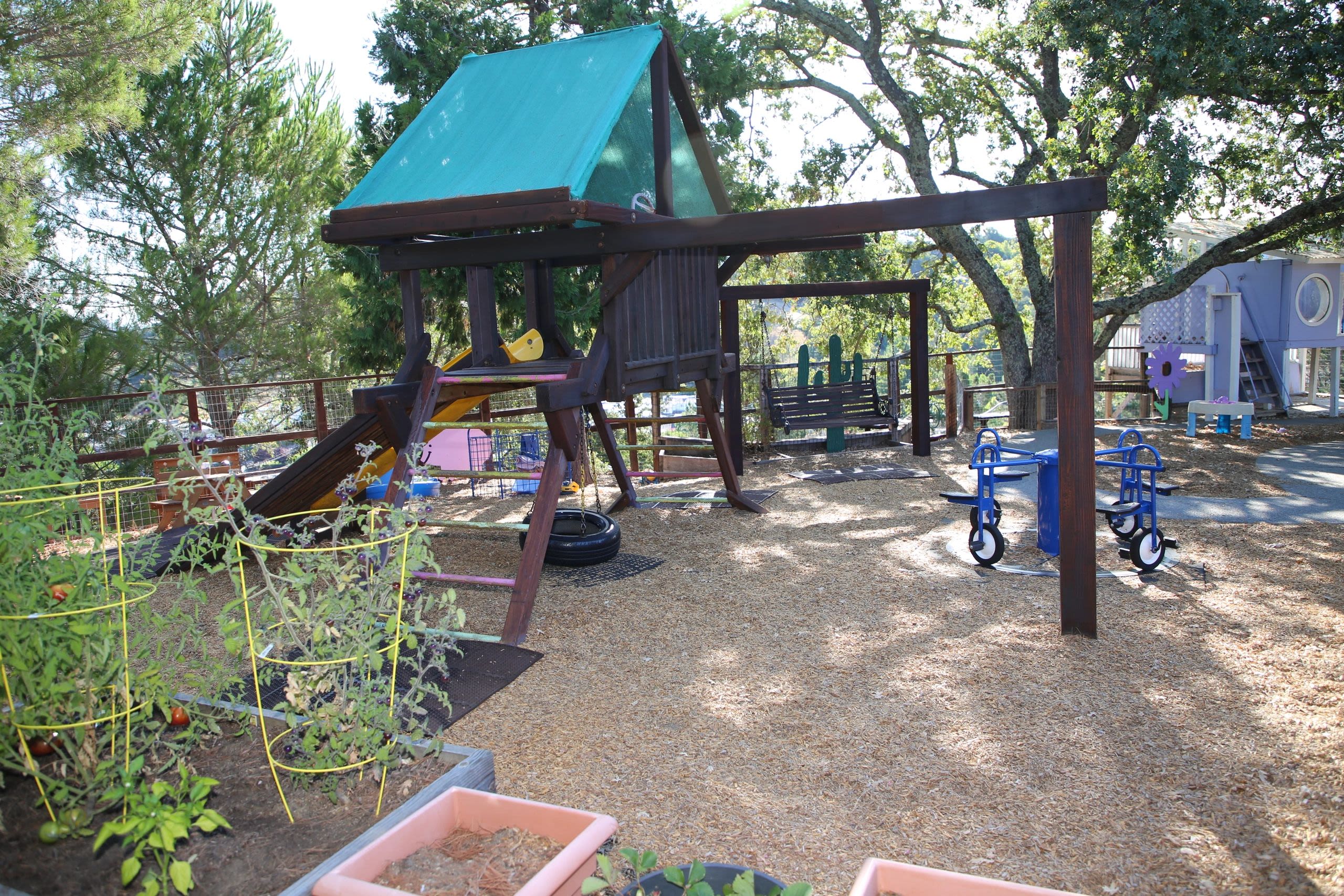 Montessori In Motion