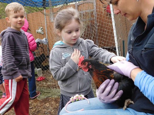 The Montessori At Sawyers Glen