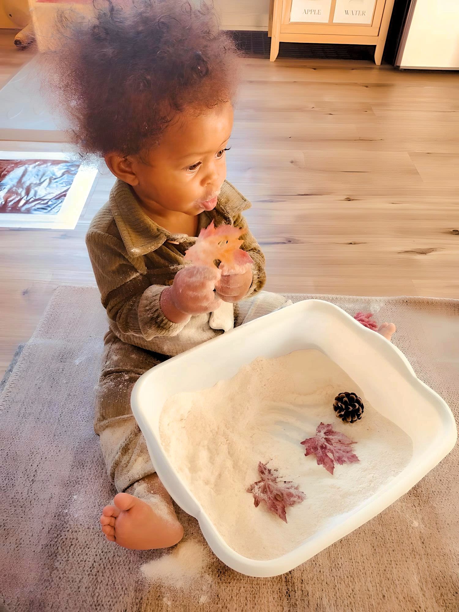 Grow Montessori School, Inc.