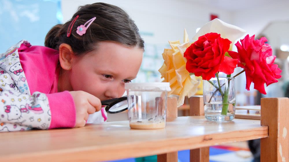 Montessori Academy of Campbell