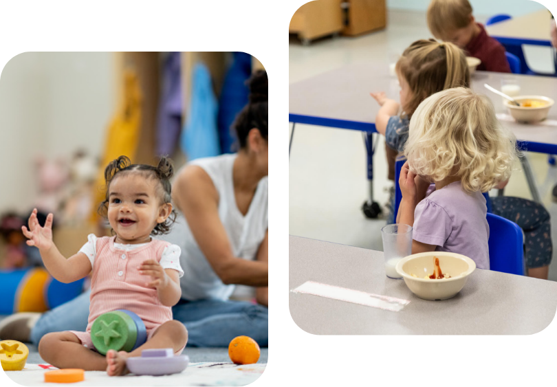 DEVELOPMENTAL CENTER OF THE OZARKS