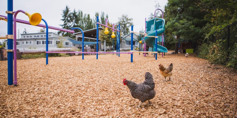 Arbor Montessori School