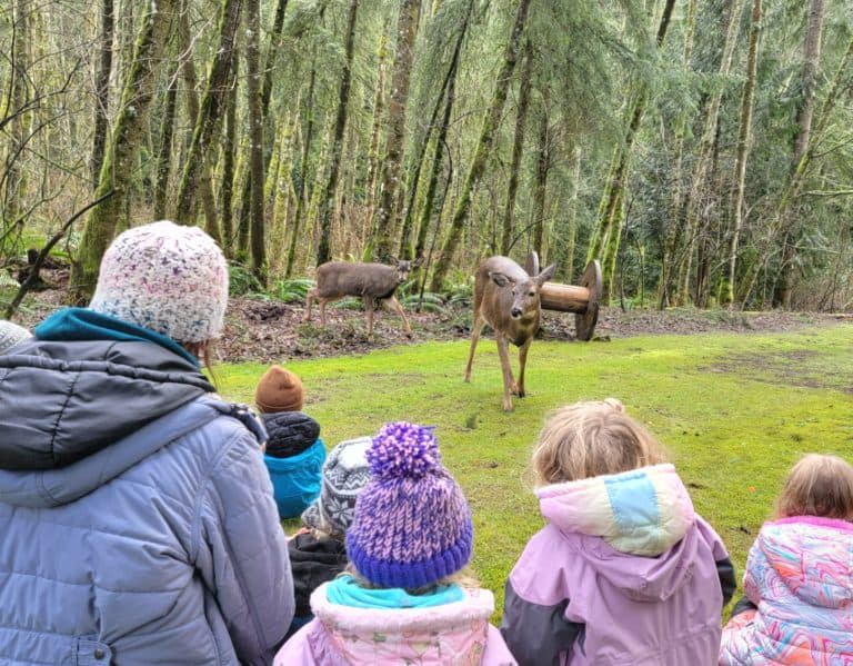 Home Sweet Home Day Care