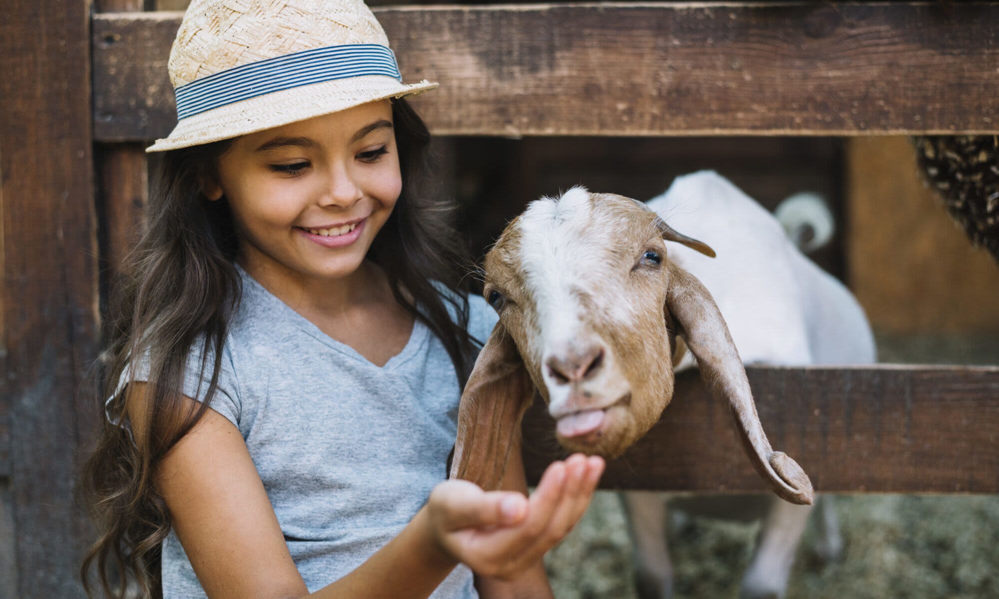 Murrieta Ranch Preschool