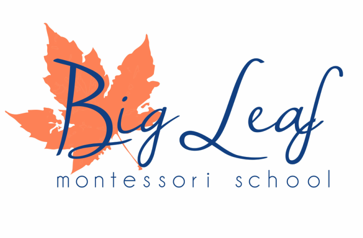 Big Leaf Montessori