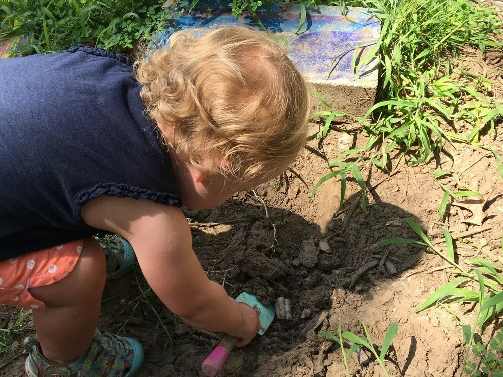 COLUMBIA MONTESSORI SOCIETY, INC.