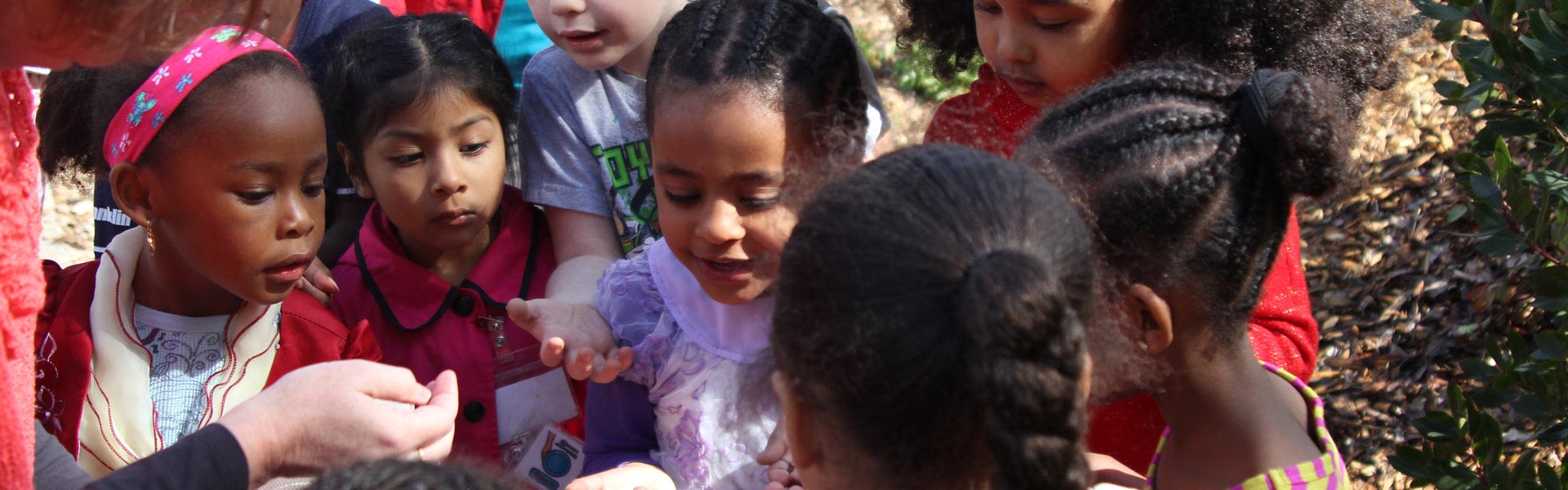 Center For Families Cooperative Preschool