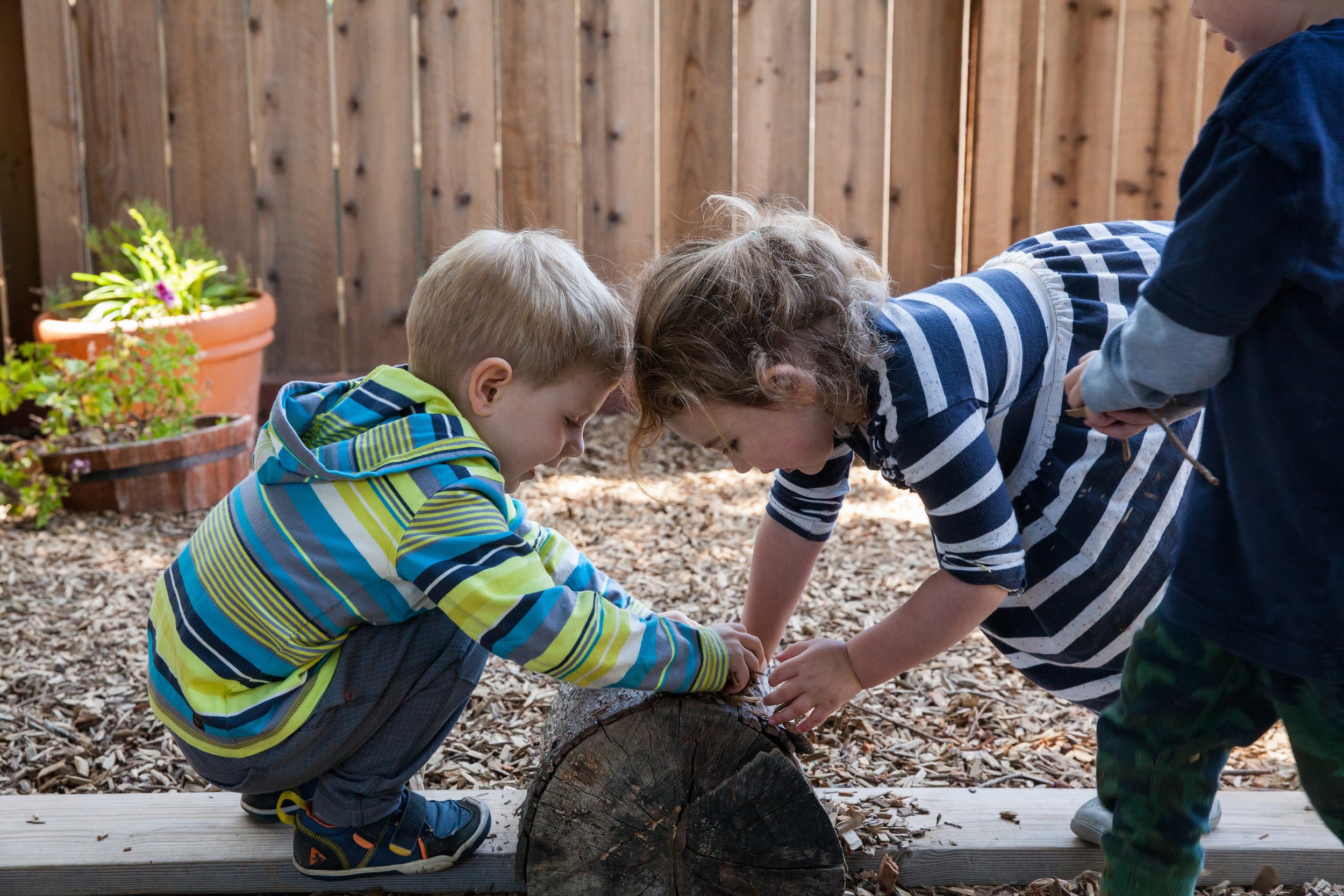 Marin Waldorf School-Preschool