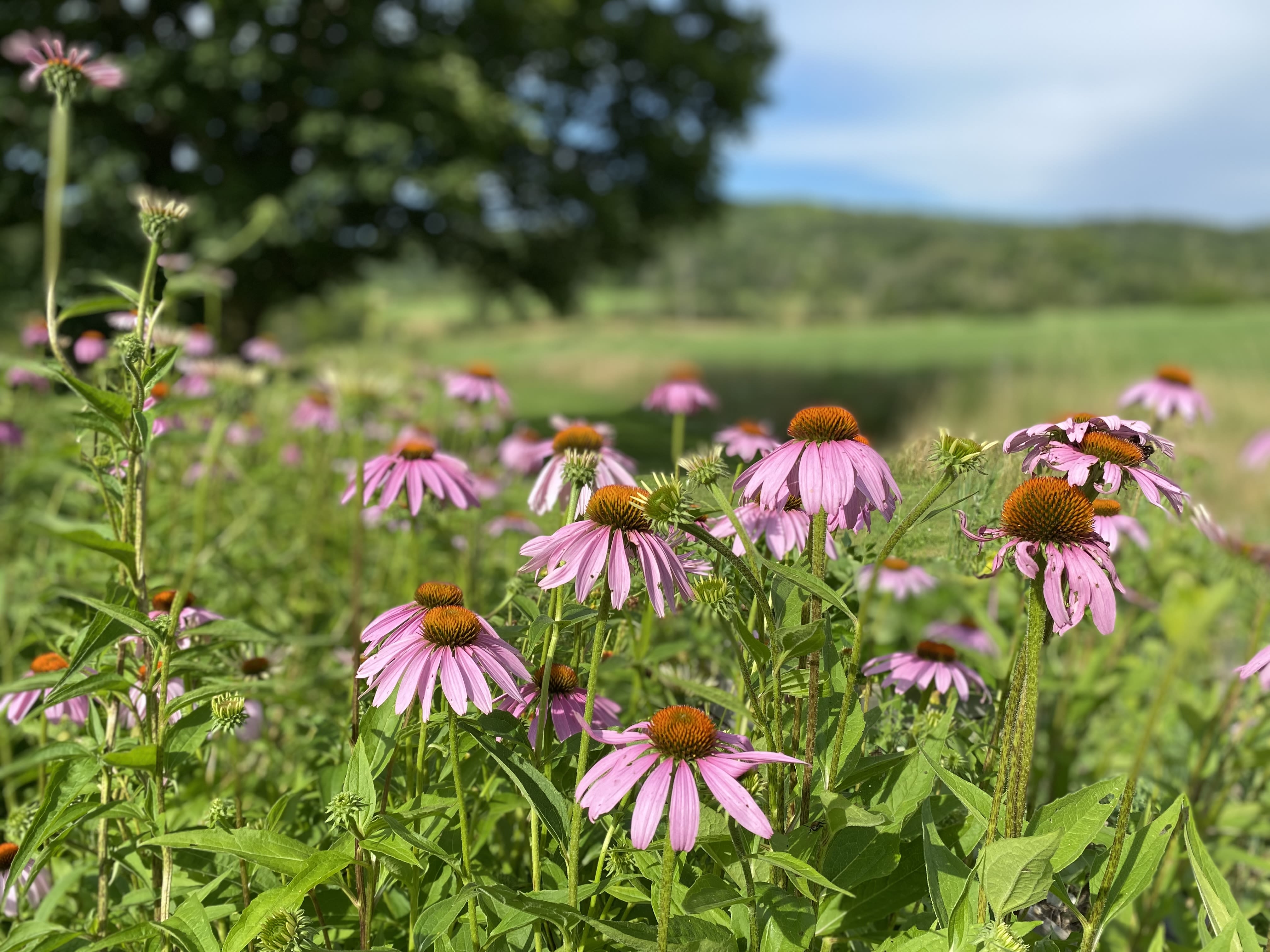 Meggie-O's Family Childcare