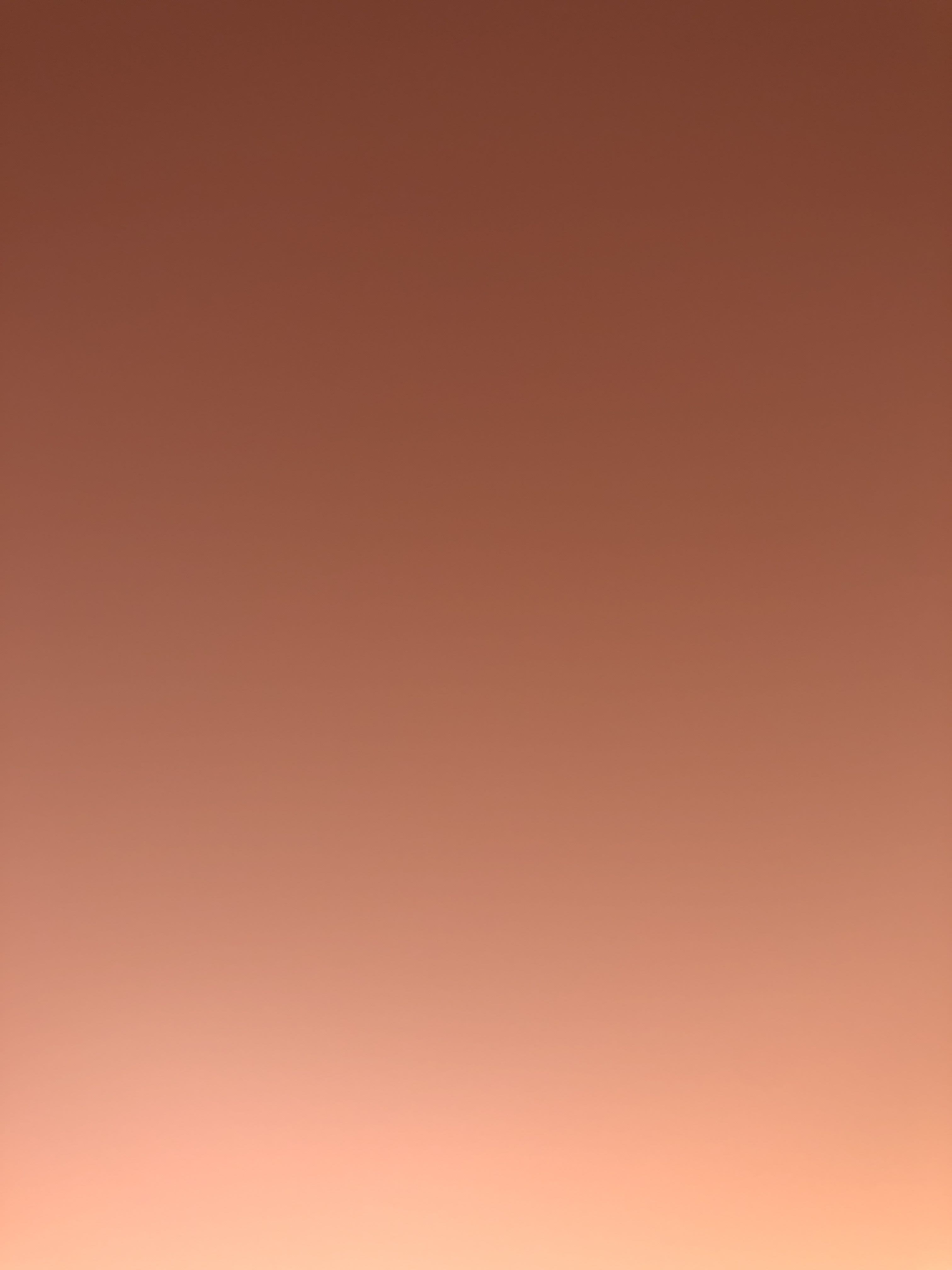 Little Peeps Daycare