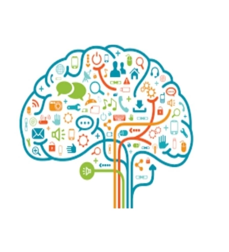 BRILLIANT MINDS EARLY LEARNING