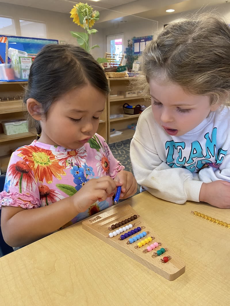 Back Bay Montessori