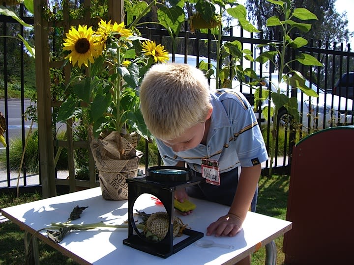 Child's World Preschool