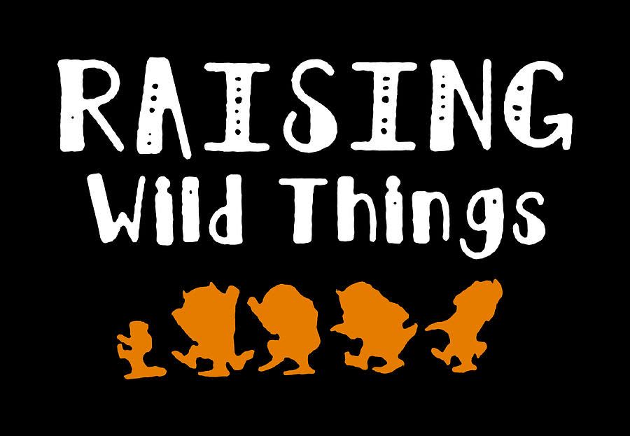 Koral's Kids Kingdom