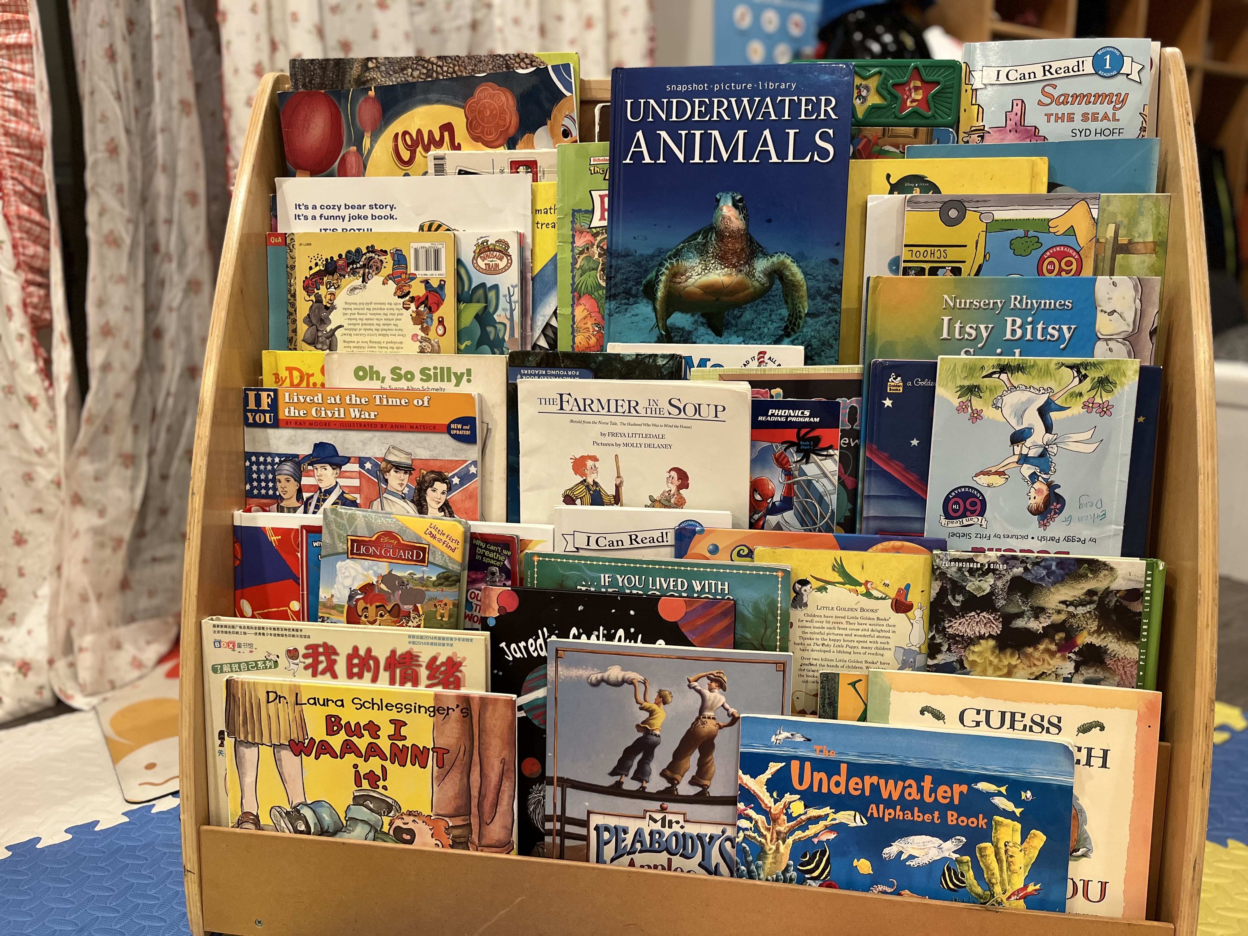 Little Wisdom Family Day Care