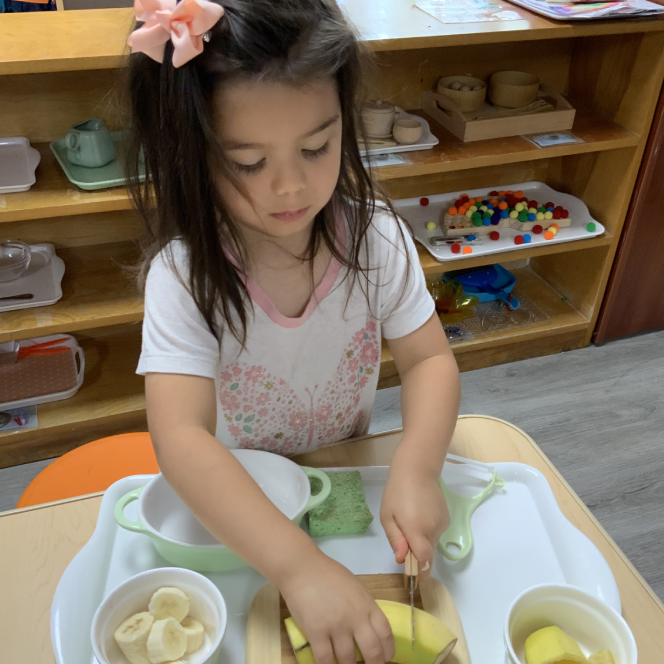 The Beginning Montessori Academy