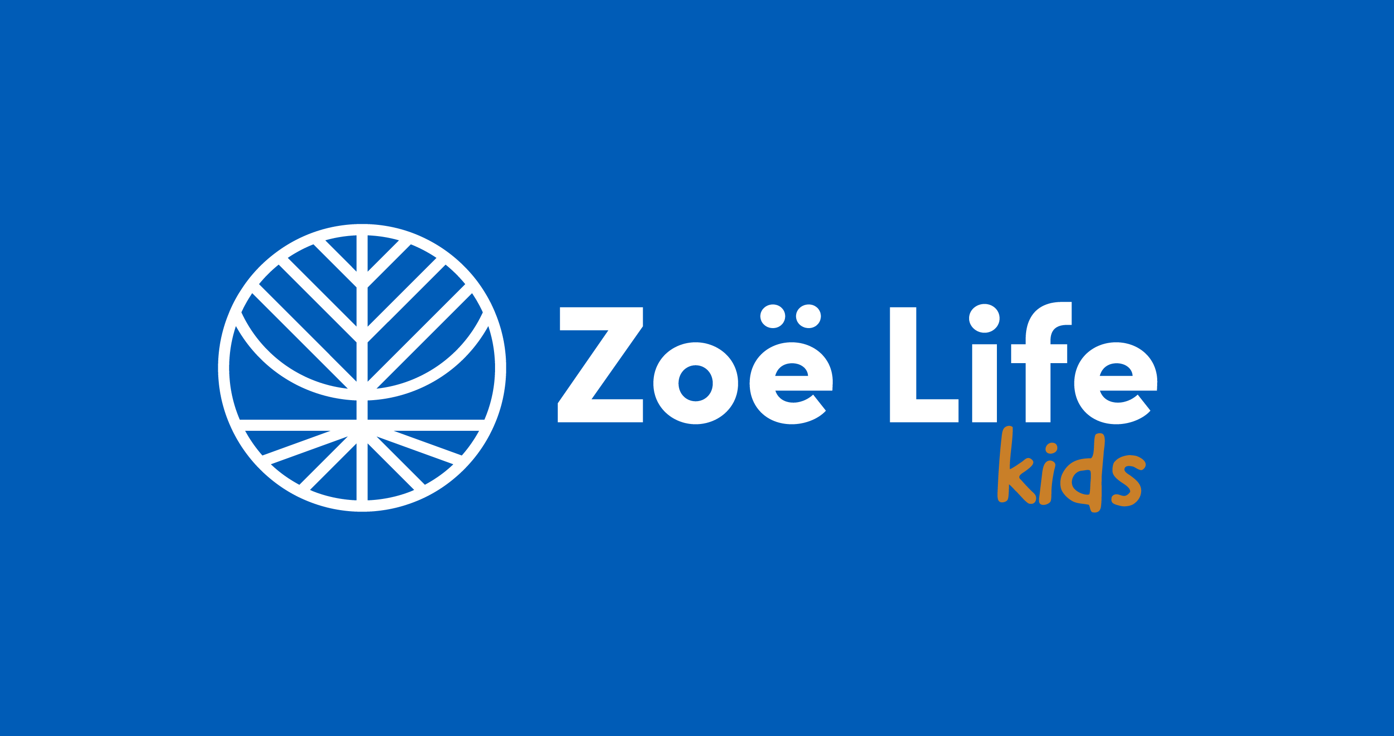 ZOE LIFE ACADEMY LLC