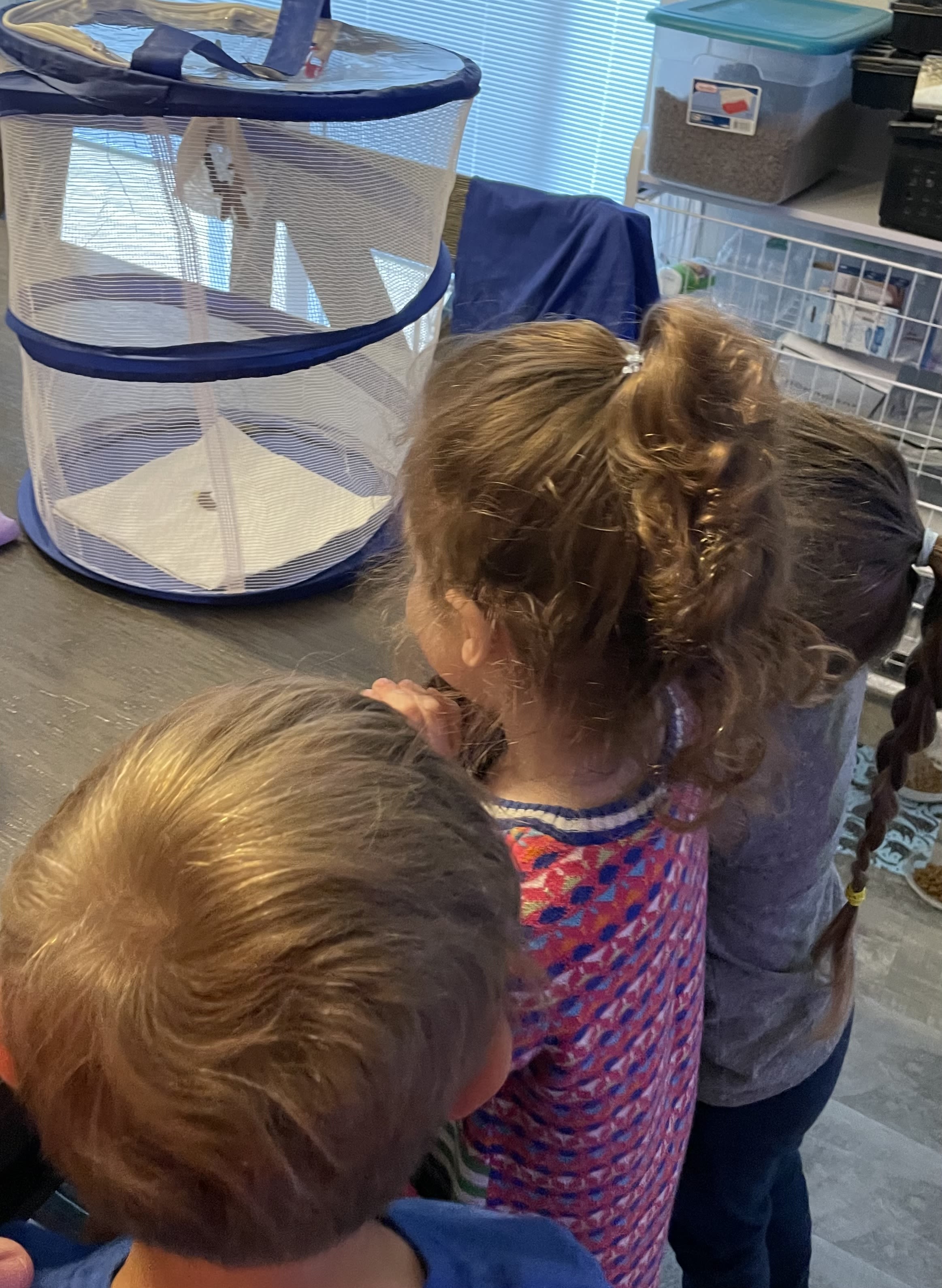 Whitmire Family Child Care