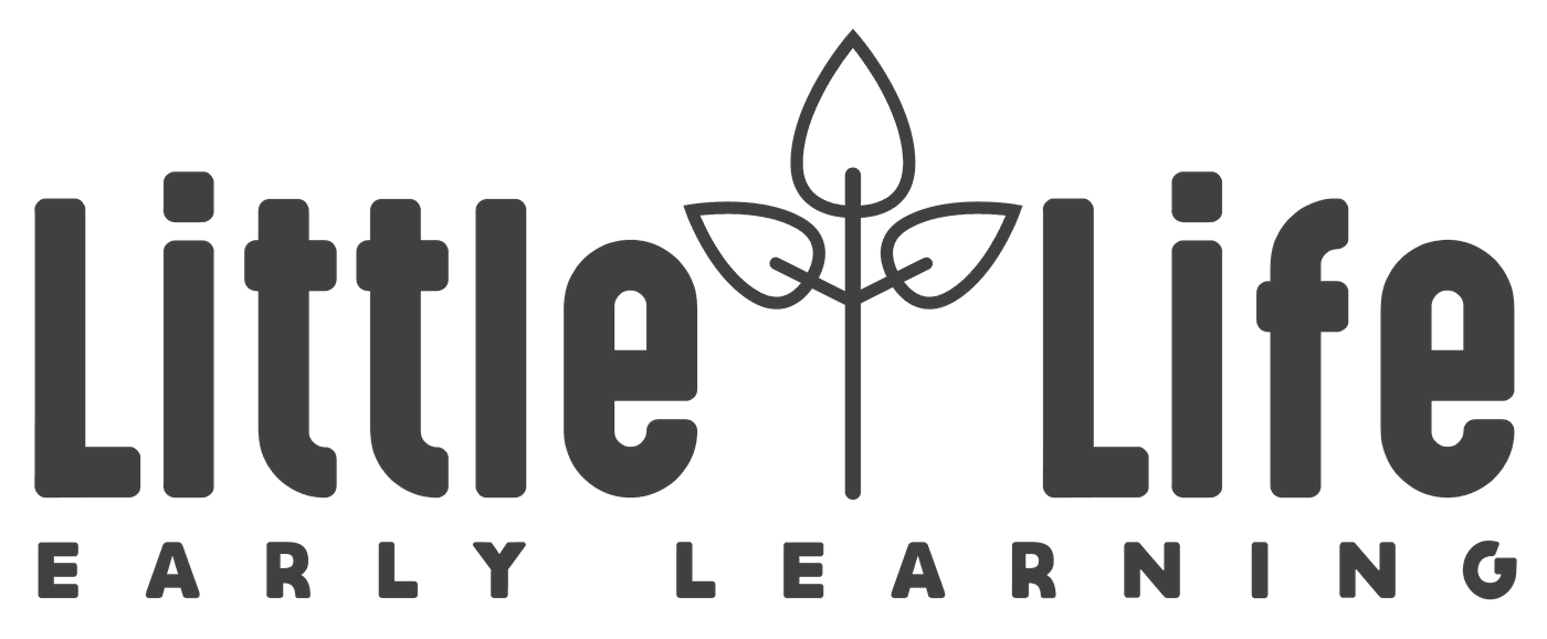 Little Life Early Learning