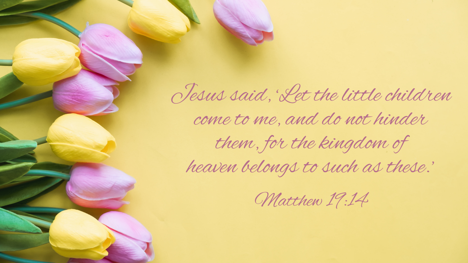 The Ark Daycare and Preschool Ministry