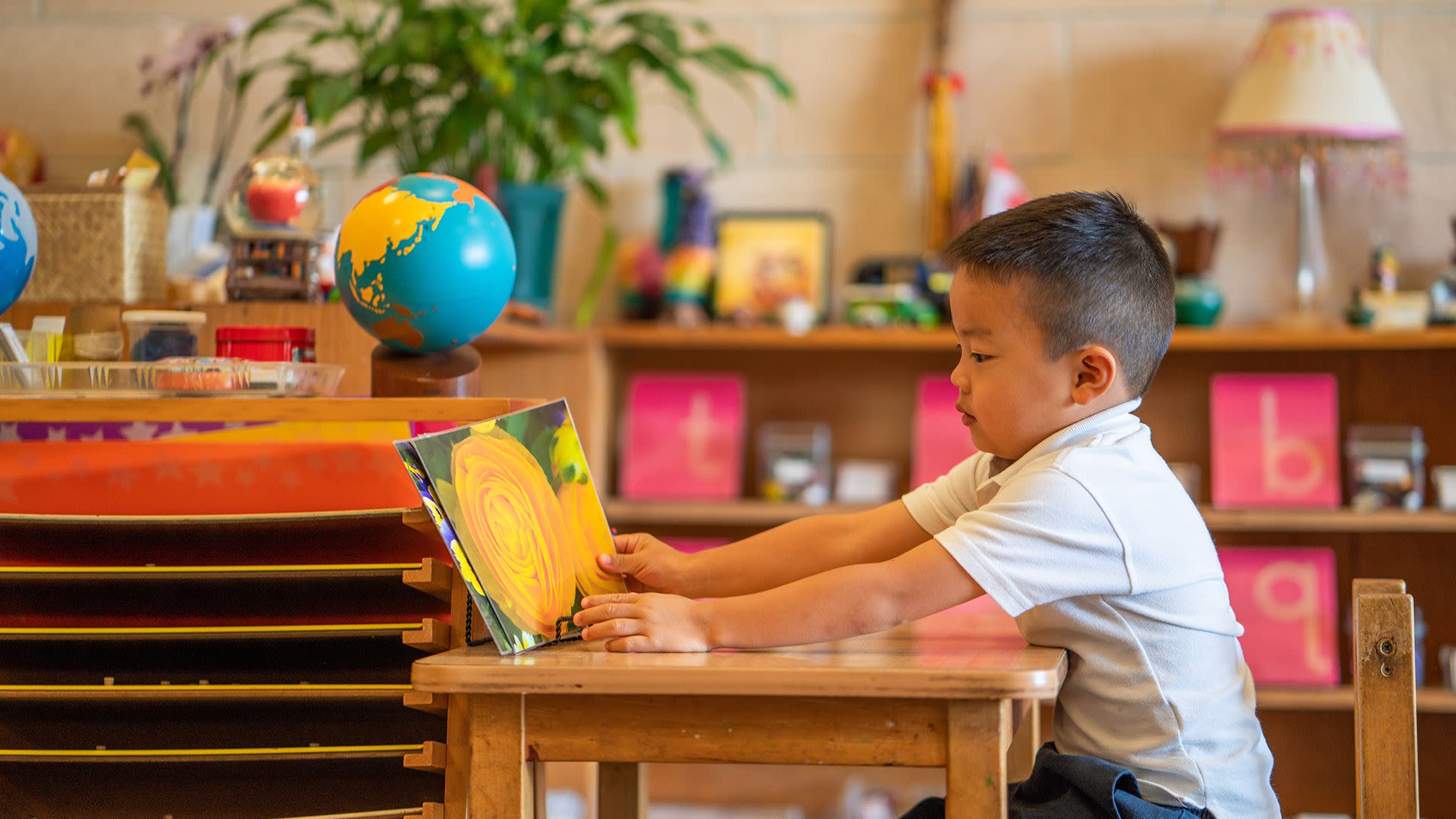 International Montessori Academy/Cadence Education