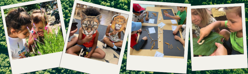 Temple Beth Sholom Pre-School