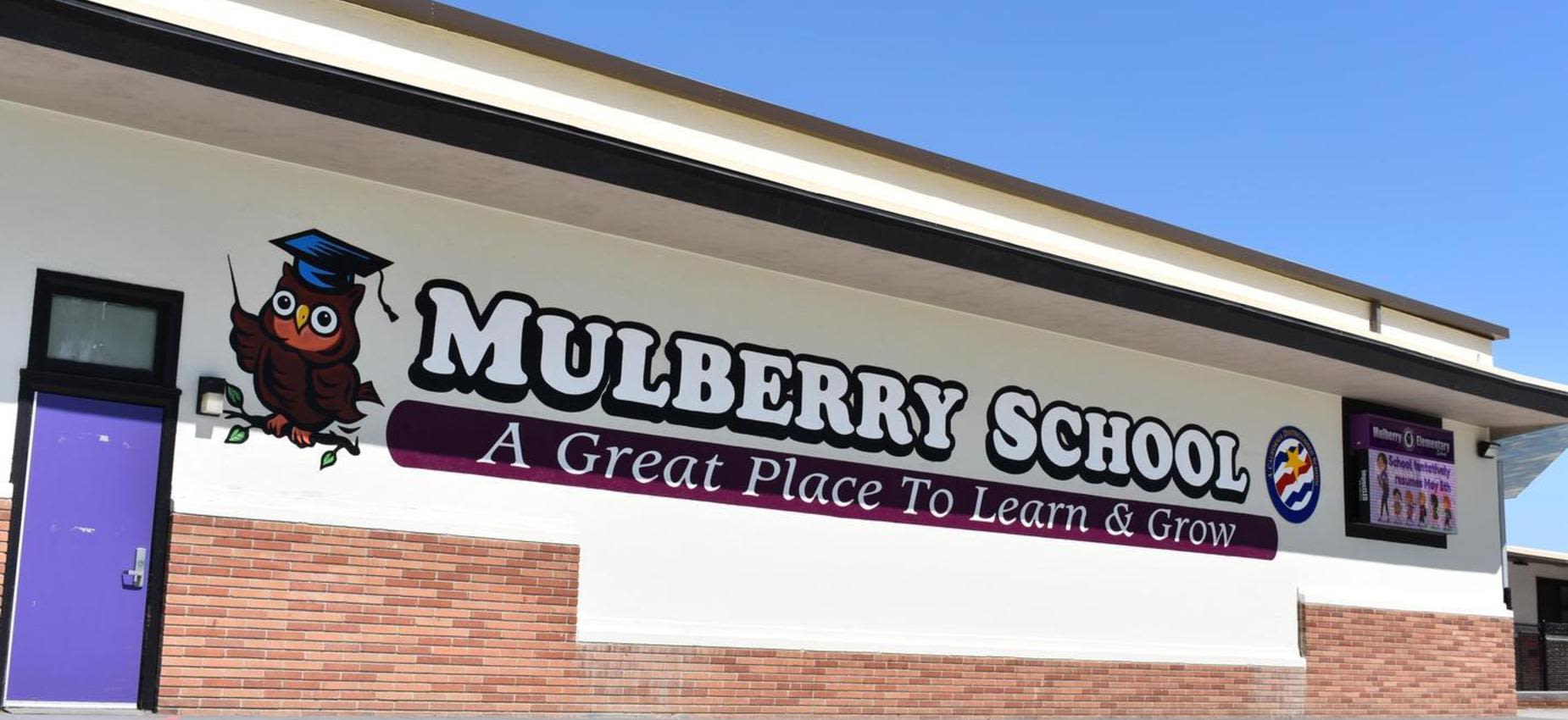 Options State Preschool-Mulberry