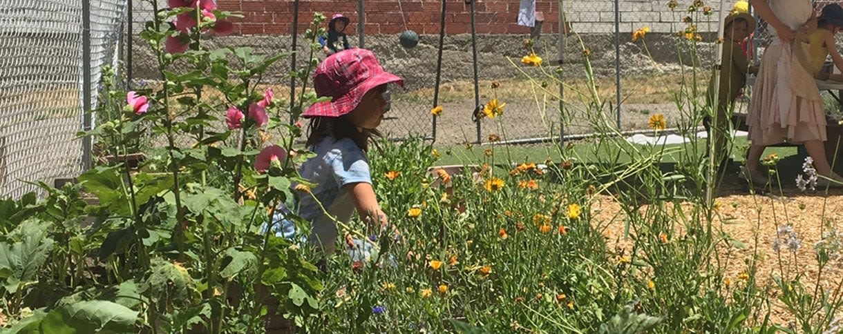 Berkeley Rose Waldorf School