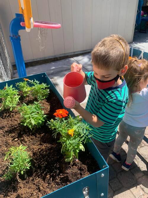 Gan Israel Preschool