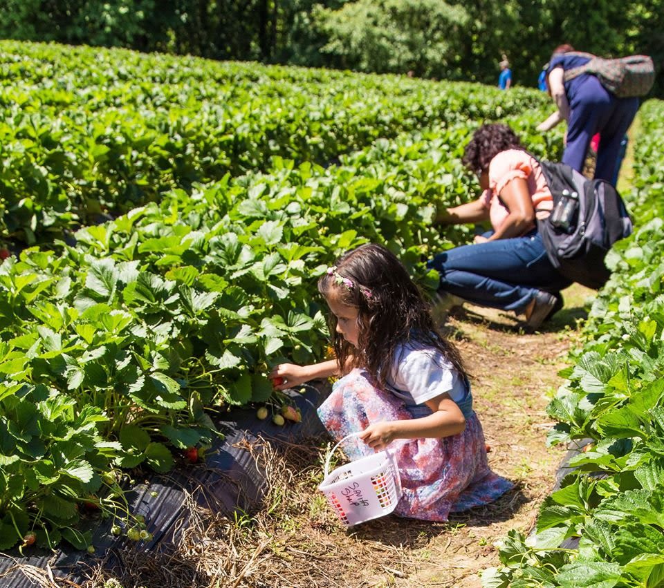 A Country Garden Montessori School