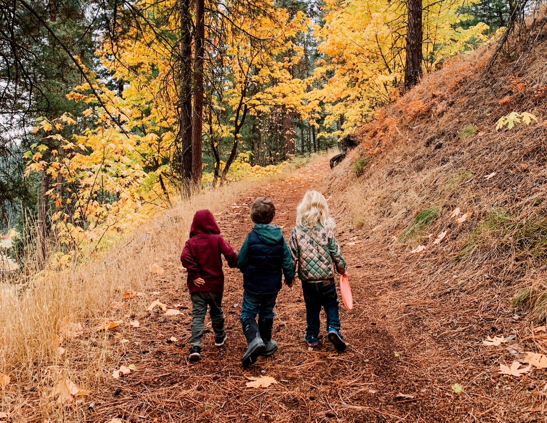 Mountain Sprouts Children's Community