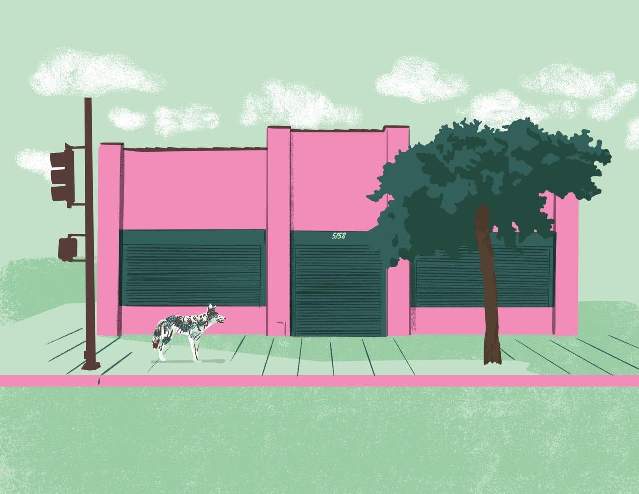Blossom Montessori