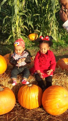 Aster Blossom Childcare LLC