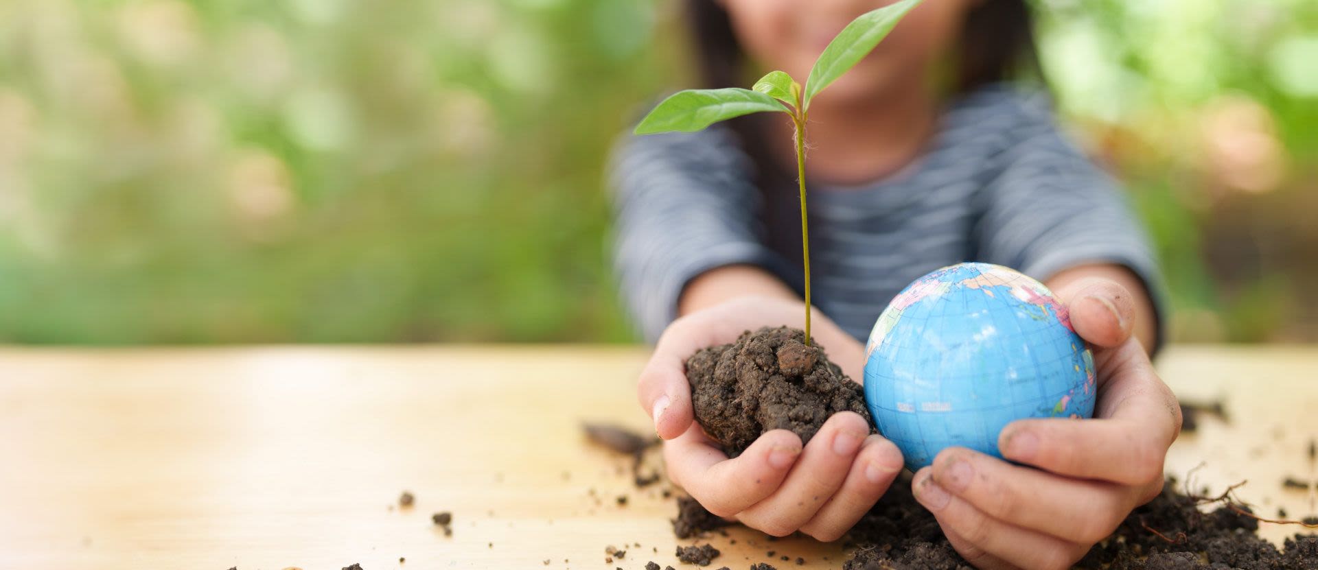 Montessori Of Anaheim